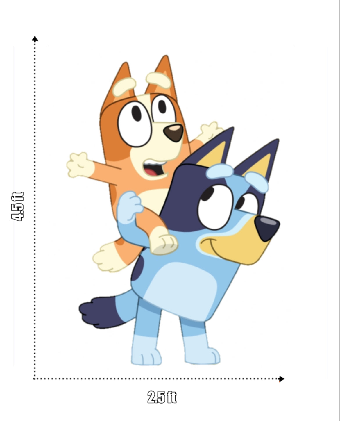 Bluey Kit